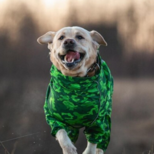 dog-jersey-own-design-camo-custom-made-rcg-clothing
