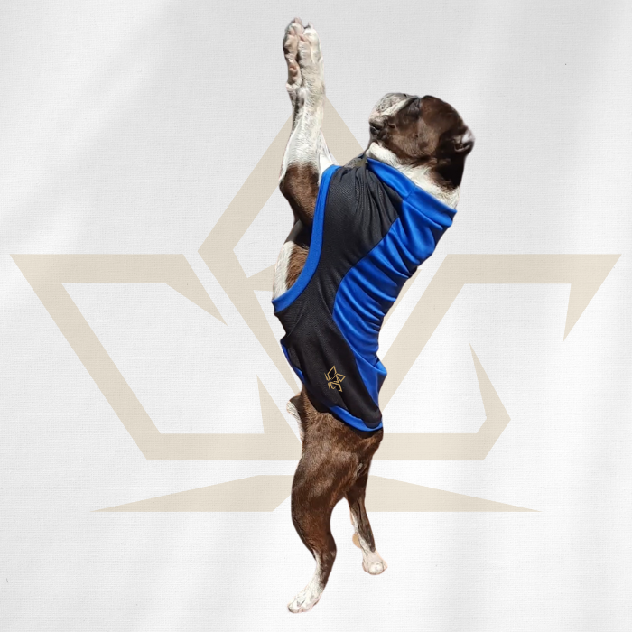 dog-jersey-lightweight-breathable-2-custom-design-made-rcg-clothing
