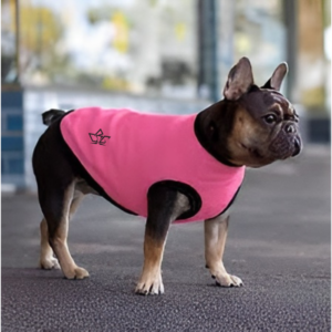 dog-jersey-lightweight-custom-design-made-rcg-clothing