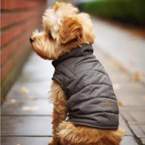 dog-jersey-puffer-custom-design-made-rcg-clothing