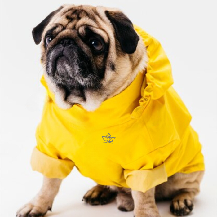 dog-jersey-own-design-waterproof-custom-made-rcg-clothing
