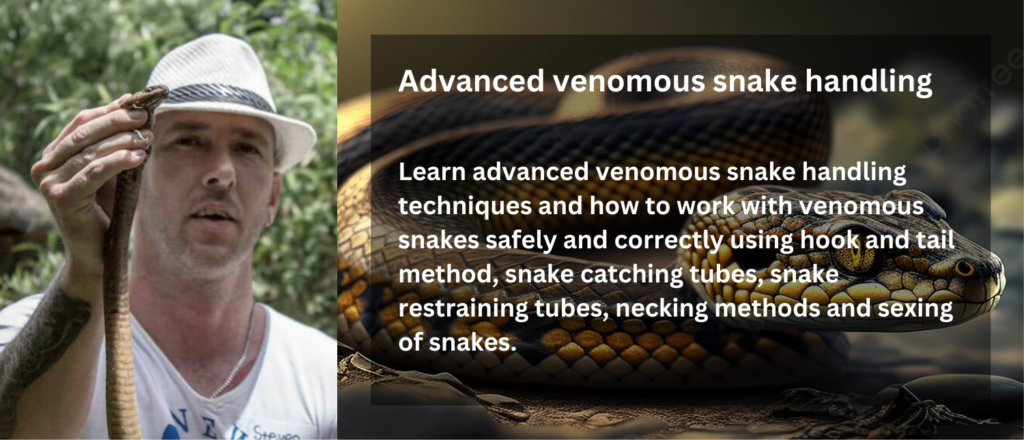 deep-south-reptile-rescue-advanced-venomous-snake-handling-rcg-rcgclothing