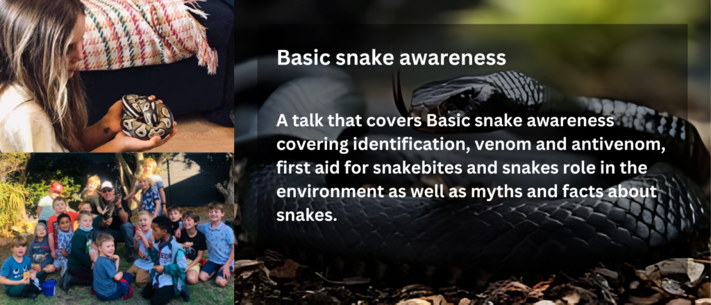deep-south-reptile-rescue-basic-snake-handling-rcg-rcgclothing