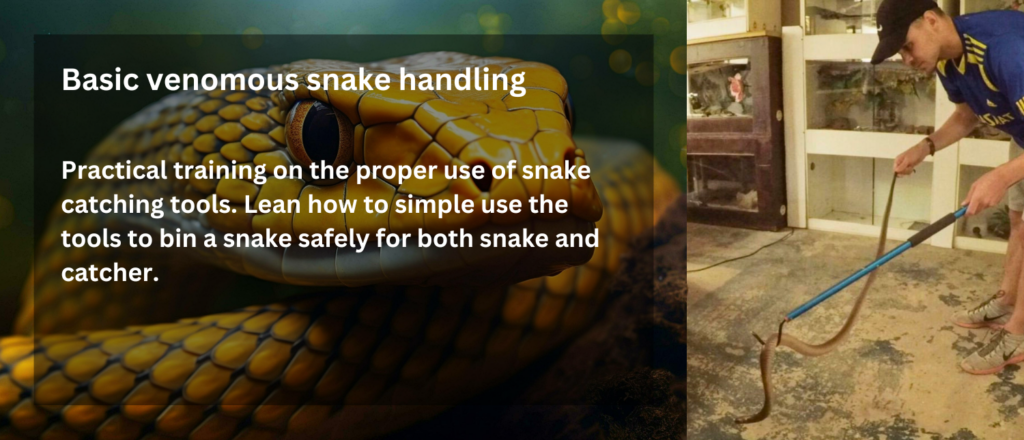 deep-south-reptile-rescue-basic-venomous-snake-handling-rcg-rcgclothing