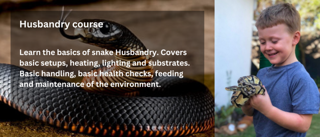 deep-south-reptile-rescue-husbandry-course-rcg-rcgclothing